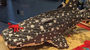 7 5 LEGO Whale