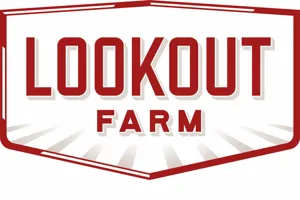 Lookout